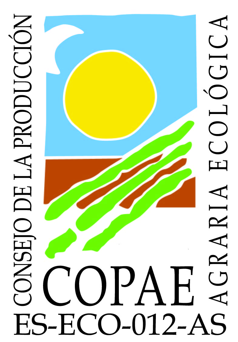 logo COPAE Asturias