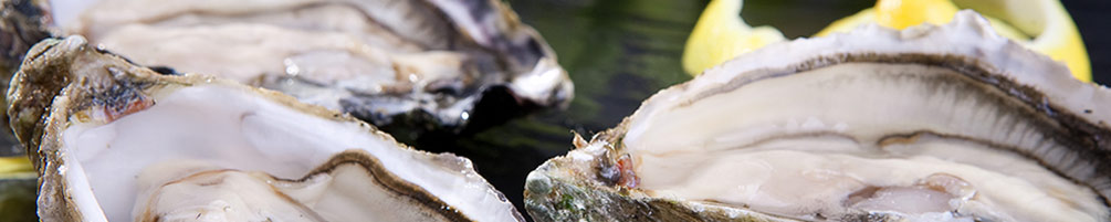 Las ostras, una joya dietética
